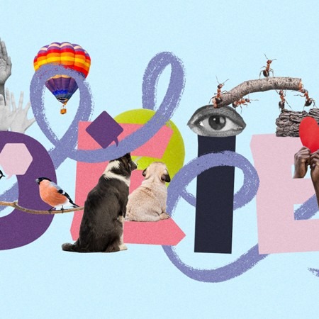 diversity, equity, inclusion, and belonging at work