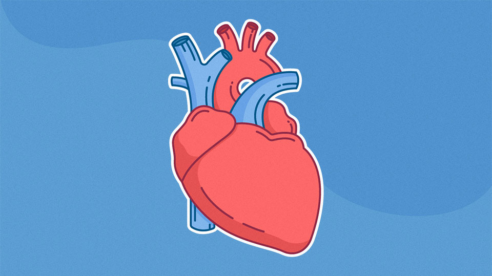 Personal Wellbeing - Healthy Heart Fundamentals Personal Wellbeing - Healthy Heart Fundamentals