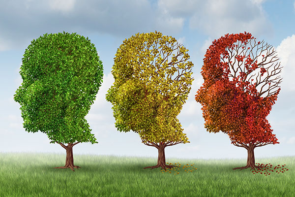 understanding dementia course online